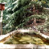 photo 2023-10-12 12-54-53