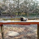 photo 2021-03-11 07-47-04