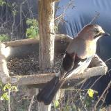 photo 2019-12-17 14-18-11