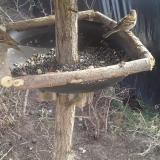 photo 2019-02-20 13-26-35