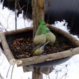 photo 2019-01-10 11-03-06