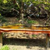 photo 2021-04-21 12-51-52