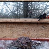 photo 2022-01-20 16-00-12