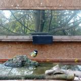 photo 2023-10-28 16-26-36