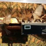 photo 2021-03-05 15-48-44