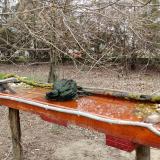 photo 2021-03-24 09-16-01