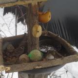 photo 2019-01-27 13-19-40