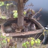 photo 2019-12-12 09-42-34