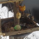 photo 2019-01-27 13-18-37