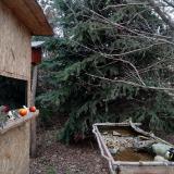 photo 2021-12-18 14-30-42