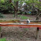 photo 2021-04-18 08-23-07