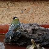 photo 2022-01-31 09-29-51 cinke