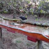 photo 2021-04-07 06-05-00