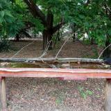 photo 2021-07-01 17-15-49