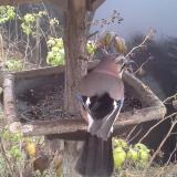 photo 2019-12-12 14-55-18