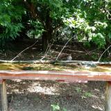 photo 2021-08-04 10-14-57