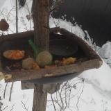 photo 2019-01-23 09-18-01