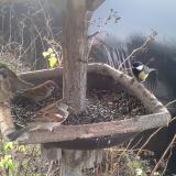 photo 2019-12-25 09-11-33