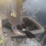 photo 2019-12-29 08-23-54