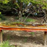 photo 2021-04-25 11-32-35