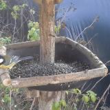 photo 2019-12-15 11-59-48