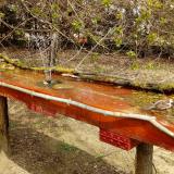 photo 2021-04-06 12-51-19