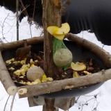 photo 2019-01-12 12-02-51