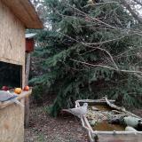 photo 2021-12-19 13-19-28