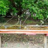 photo 2021-05-13 12-39-44