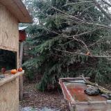 photo 2021-12-27 13-44-04