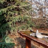 photo 2021-11-14 13-25-21