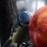 photo 2022-01-24 14-57-23 007