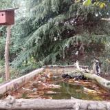 photo 2023-10-09 15-46-39