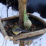 photo 2019-01-11 13-13-19