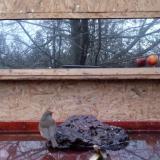 photo 2022-01-30 07-04-19