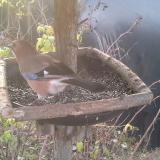 photo 2019-12-18 08-21-23