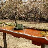 photo 2021-03-26 09-46-31