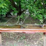 photo 2021-05-19 11-43-17