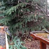 photo 2021-11-13 08-53-12