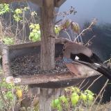 photo 2019-12-12 11-58-35