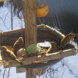 photo 2019-01-27 09-54-16