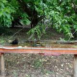 photo 2021-05-24 11-25-47