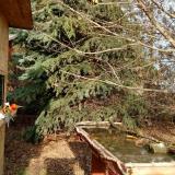 photo 2021-12-15 13-18-39