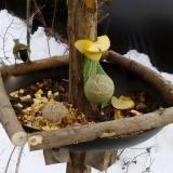 photo 2019-01-12 14-53-45