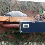 photo 2021-02-22 08-13-53