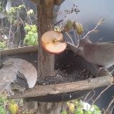 photo 2019-12-05 13-01-50