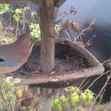 photo 2019-12-12 11-45-49