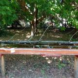 photo 2021-07-01 13-14-30