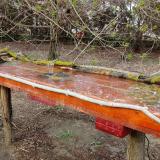 photo 2021-04-01 16-47-16