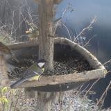 photo 2019-12-31 11-42-46